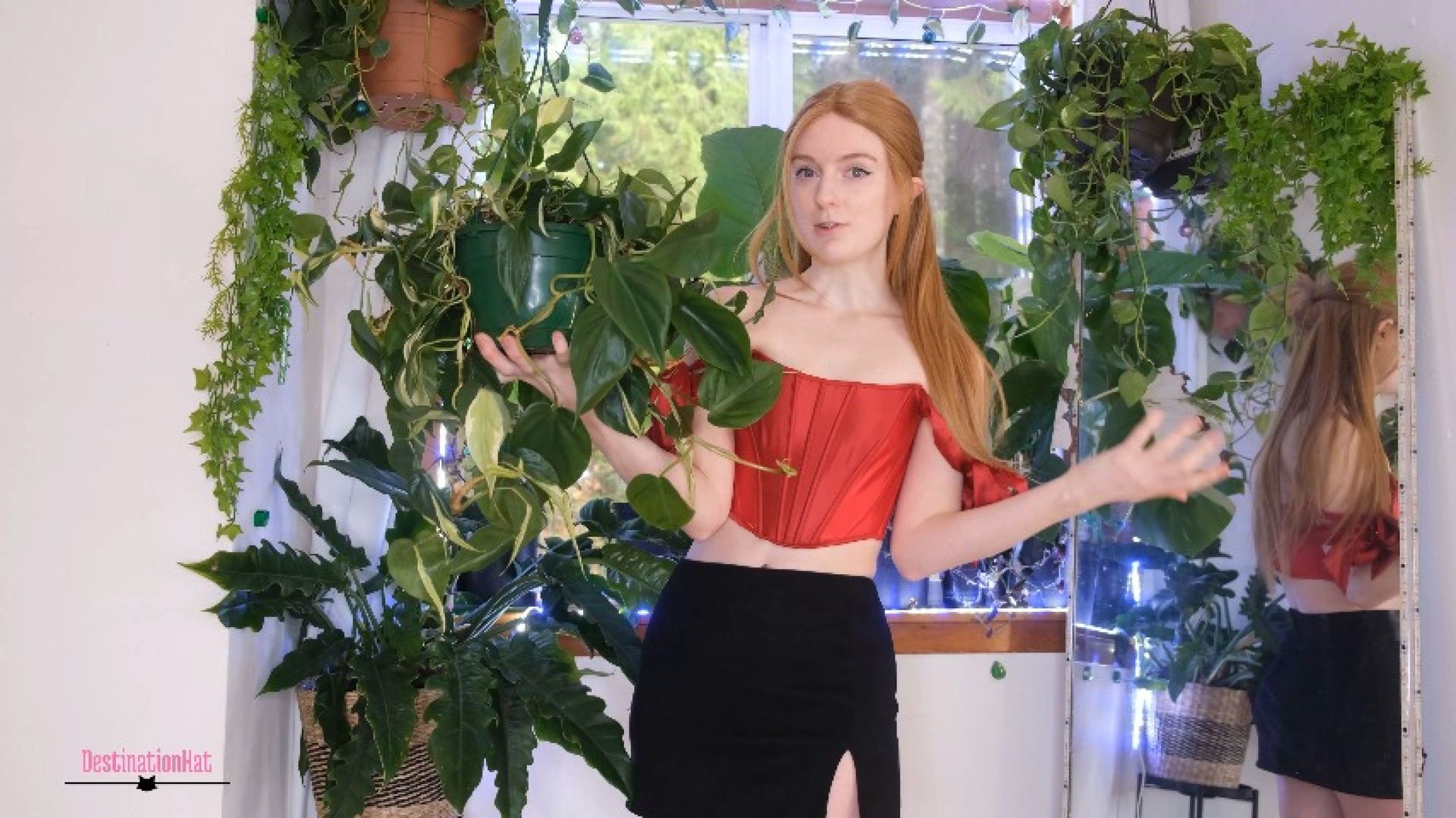 1-New Plants I Got Recently