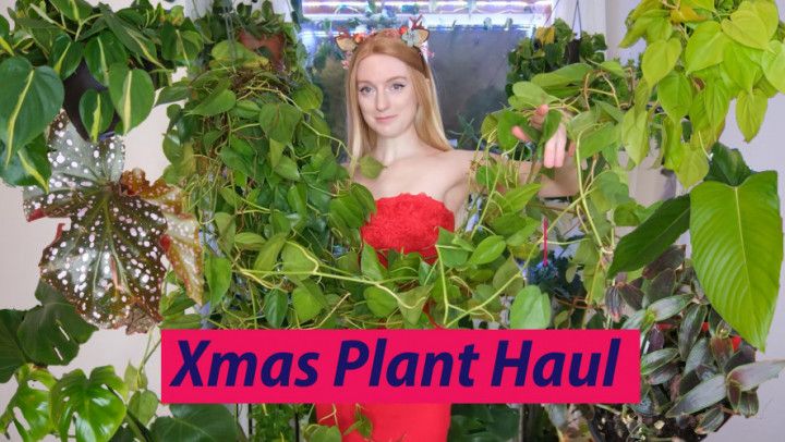 The Plants I Got For Christmas