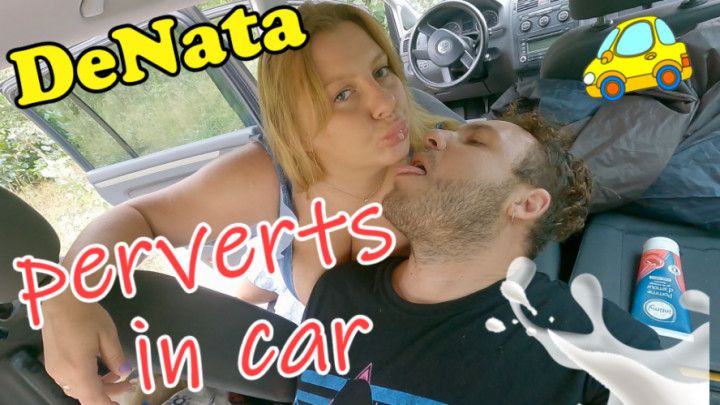 DeNata - Perverts in Car