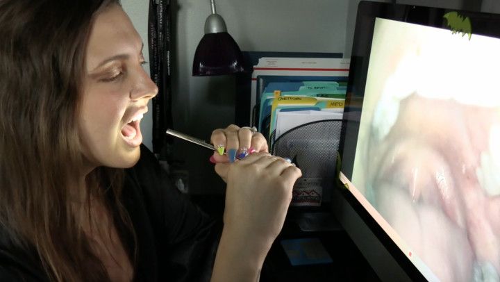 Sadie Holmes - Endoscope Mouth Tour