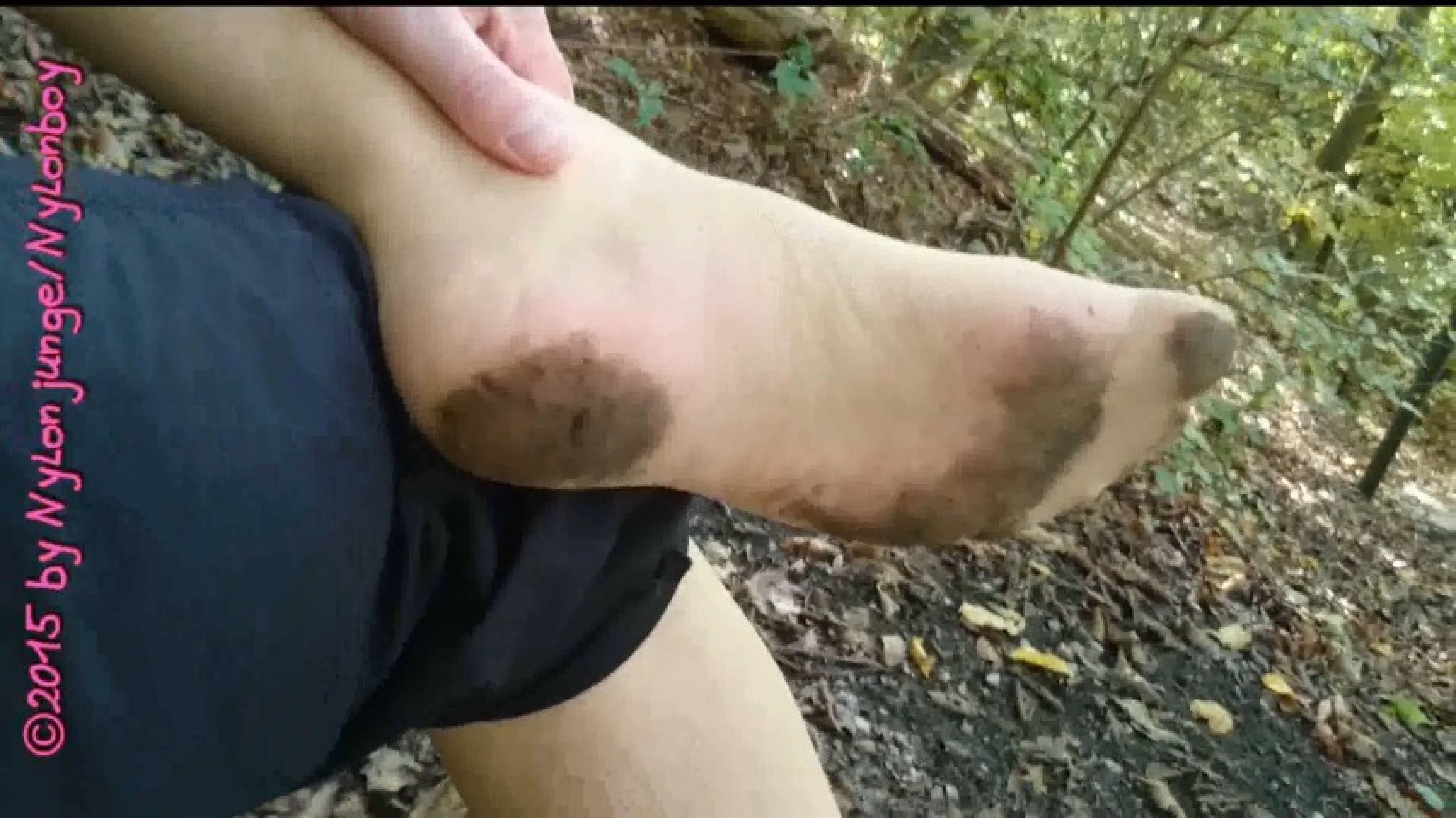 Little nylon forest walk