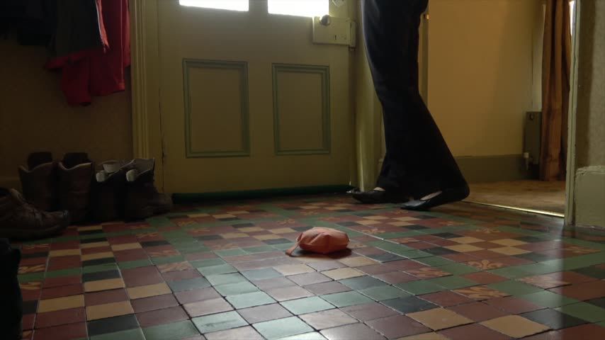 Cat Burglar Whoopee Cushion Disaster