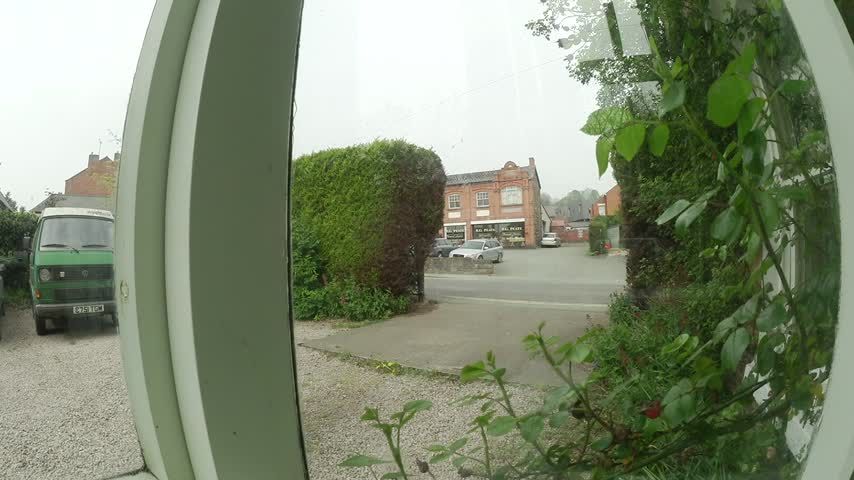 Leather Gloved Burglar