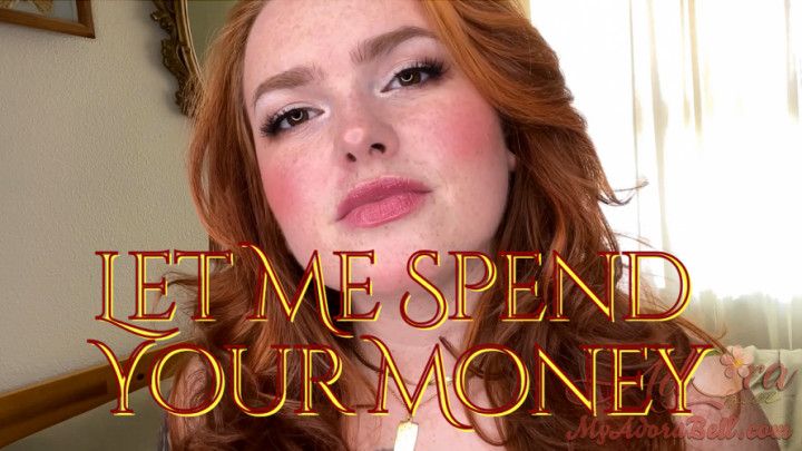 Let Me Spend Your Money