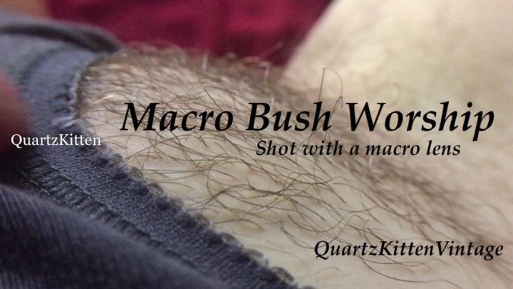 Macro Bush Worship