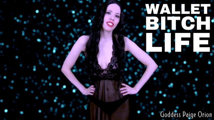 Wallet Bitch Life