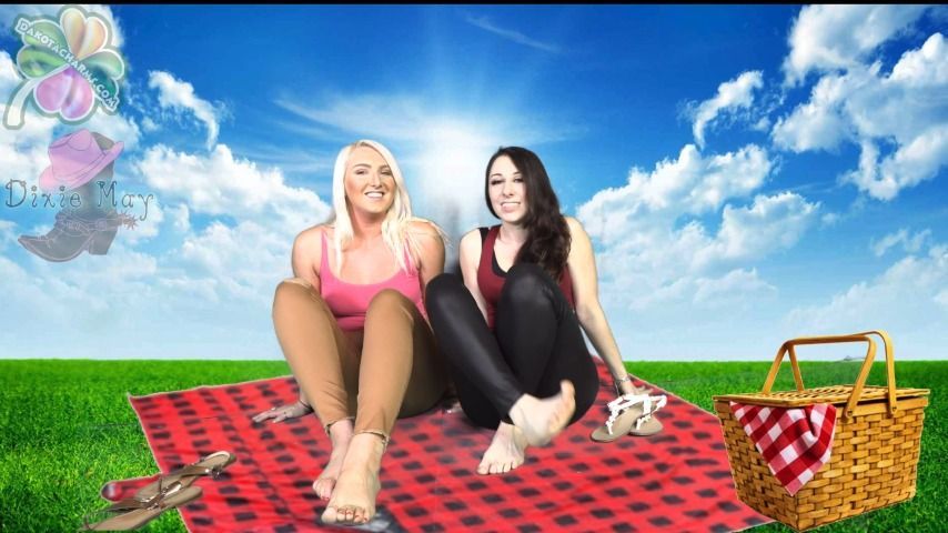 Sugar Daddy Picnic JOI