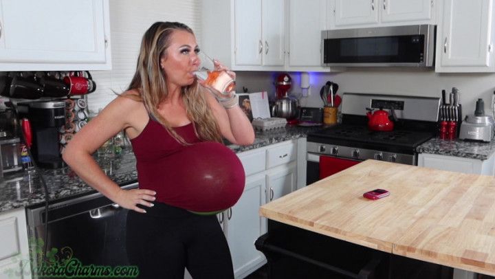 Goldfish Babysitting Gone Wrong - Dakota Charms SM