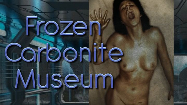 Carbonite Museum Star Wars Frozen Fetish