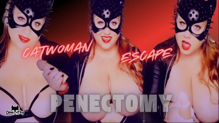 Catwoman's Escape Plan: HJ &amp; Penectomy